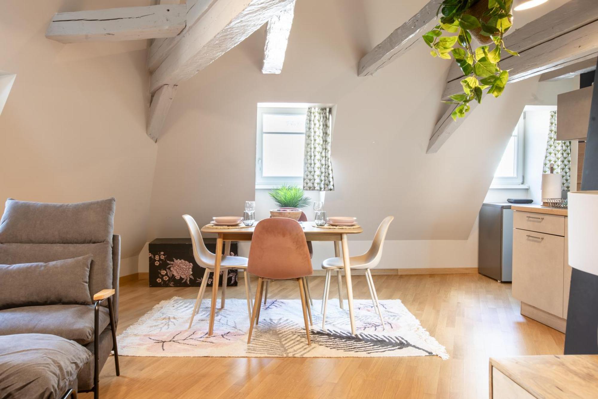 Apartamento Duplex Atypique Au Coeur De Mulhouse Exterior foto